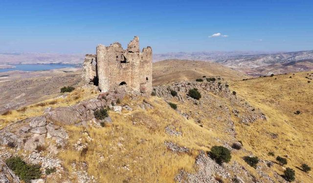 Tarih tutkunları bin yıllık Mor Ahron Manastırı’nda buluştu