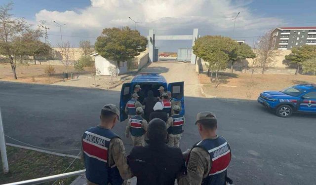 Jandarma'dan kaçak kazı operasyonu