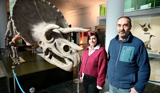 Anadolu'nun genetik hafızası bu müzede korunuyor