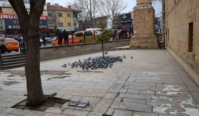 Kırşehir'de tarihi Kapucu Camii güvercinlerin yuvası oldu