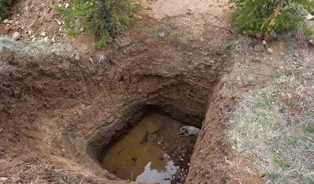 Ankara'da kaçak kazının yapıldığı çukura düşen köpek kurtarıldı