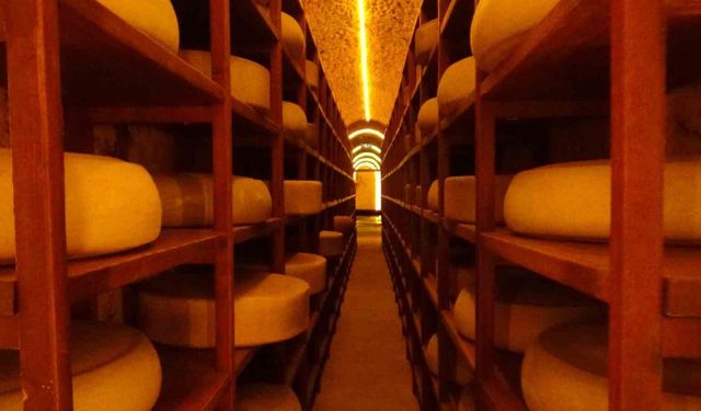 Kars Peynir Müzesi turistlerin gözdesi oldu