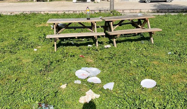 Tarihi alan çöplüğe döndü