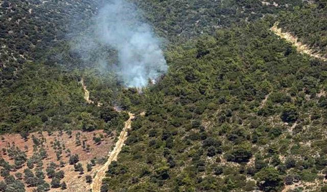 Milas Kazıklı Koyu'nda makilik alanda yangın çıktı