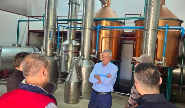 Tıbbi aromatik bitki üretimi için saha çalışmaları sürüyor