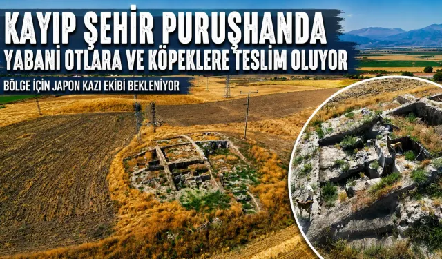 Tarihi Kazı Alanı Kaderine Terk Edildi