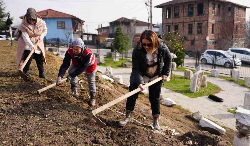 Belediye Ekipleri Bu Sefer Tarihi Kentte Kazı Yaptı