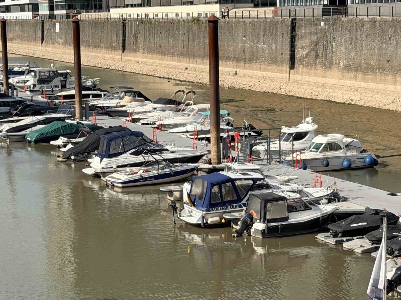 Almanya'da Ren Nehri'nde kuraklık alarmı: Su seviyesinde tarihi düşüş yaşandı